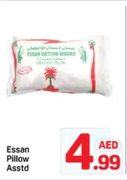 Day To Day Essan pillow offer