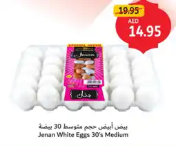 Union Coop Jenan white eggs 30s medium offer