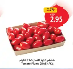 Union Coop Tomato Plums offer