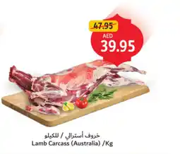 Union Coop Lamb Carcass offer