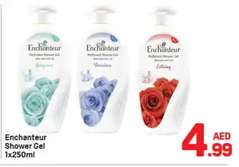 Day To Day Enchanteur Shower Gel offer