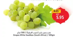 Union Coop Grapes white seedless offer