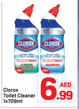 Day To Day CLOROX Toilet / Drain Cleaner offer