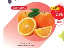 Union Coop Orange Navel offer