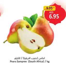 Union Coop Pears Sampree offer