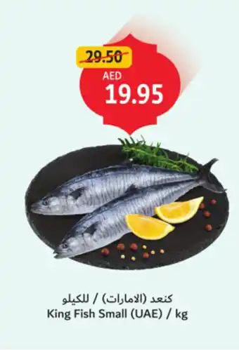 Union Coop King Fish Small offer