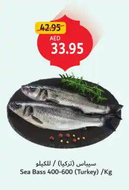 Union Coop Sea Bass 400-600 offer