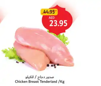 Union Coop Chicken Breast Tenderized offer