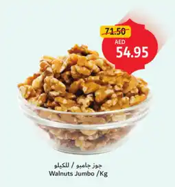 Union Coop Walnuts Jumbo offer