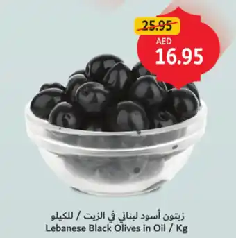 Union Coop Lebanese Black Olives in Oil offer