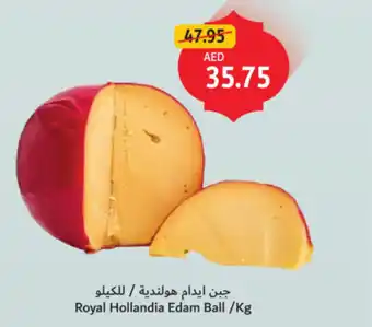 Union Coop Royal hollandia edam ball offer