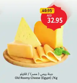 Union Coop Old roomy cheese offer