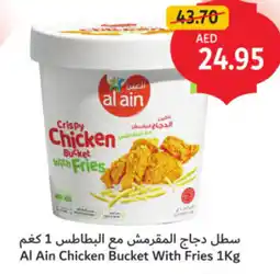 Union Coop Al Ain Chicken Bucket With Fries offer