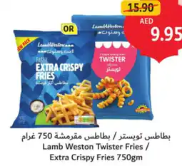 Union Coop Lamb Weston Twister Fries / Extra Crispy Fries offer