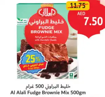 Union Coop Al Alali Fudge Brownie Mix offer