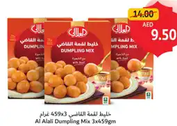 Union Coop Al Alali Dumpling Mix offer