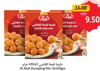 Union Coop Al Alali Dumpling Mix offer