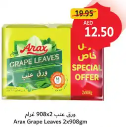 Union Coop Arax Grape Leaves offer