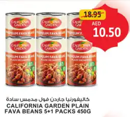 Union Coop California garden plain fava beans offer