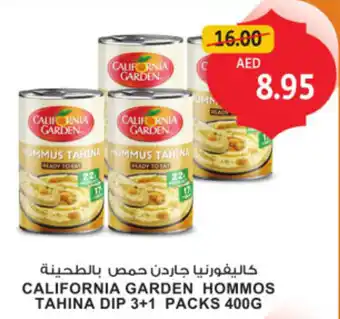 Union Coop California garden hommos tahina dip offer