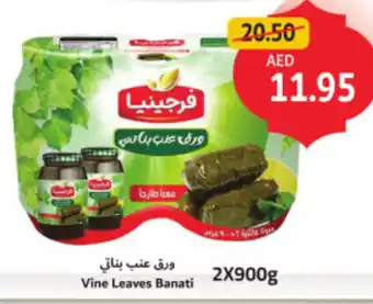 Union Coop Vine Leaves Banati offer