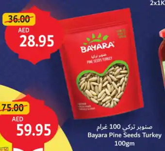 Union Coop Bayara Pine Seeds Turkey offer