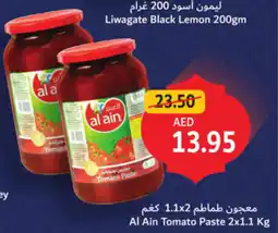 Union Coop Al Ain Tomato Paste offer