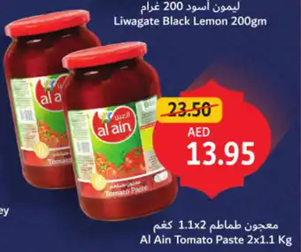 Union Coop Al Ain Tomato Paste offer