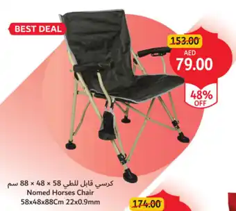 Union Coop Nomed Horses Chair offer