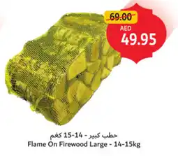 Union Coop Flame On Firewood Large offer