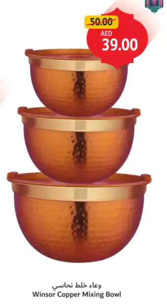 Union Coop Winsor Copper Mixing Bowl offer