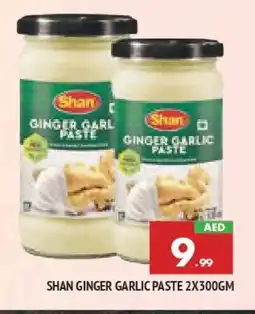 Al Madina SHAN Garlic Paste offer