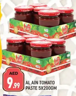 Al Madina AL AIN Tomato Paste offer