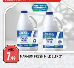 Al Madina MARMUM Fresh Milk offer