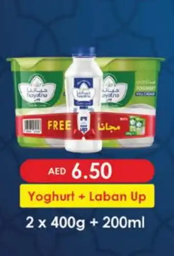 Nesto HAYATNA Yoghurt offer