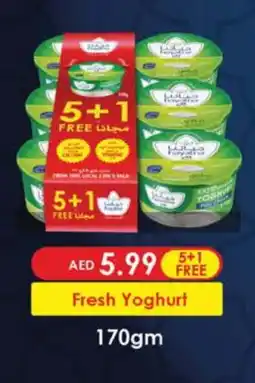 Nesto HAYATNA Yoghurt offer