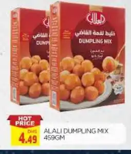 Al Madina AL ALALI Dumpling Mix offer