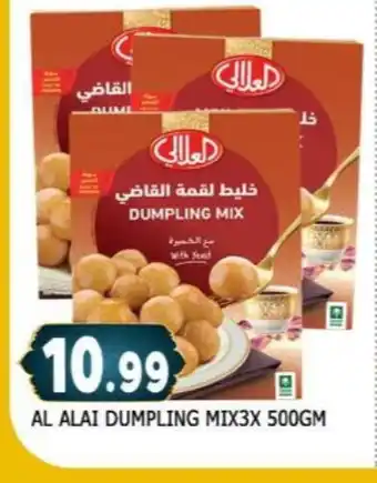 Al Madina AL ALALI Dumpling Mix offer