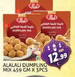 Palm Centre AL ALALI Dumpling Mix offer