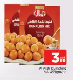 Al Madina AL ALALI Dumpling Mix offer