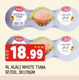 Al Madina AL ALALI Tuna - Canned offer