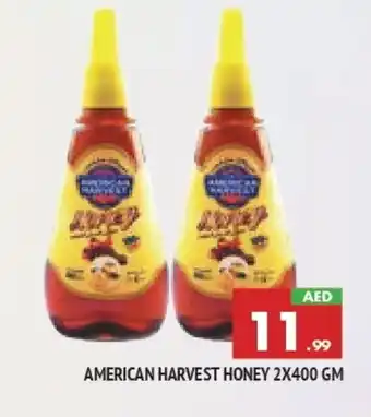 Al Madina AMERICAN HARVEST Honey offer