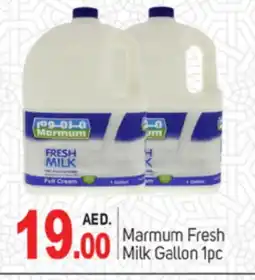 Talal Market MARMUM Fresh Milk offer