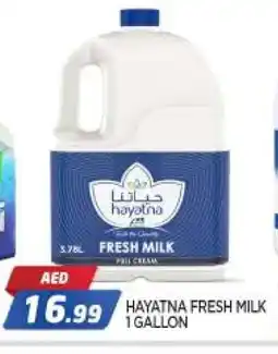 Al Madina HAYATNA Fresh Milk offer