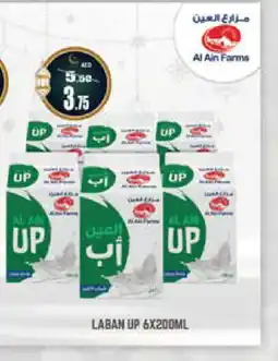 Hashim Hypermarket AL AIN Laban offer