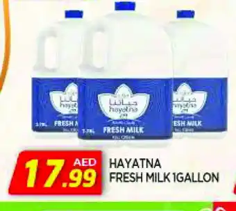 Al Madina HAYATNA Fresh Milk offer