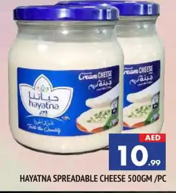 Al Madina HAYATNA Cream Cheese offer