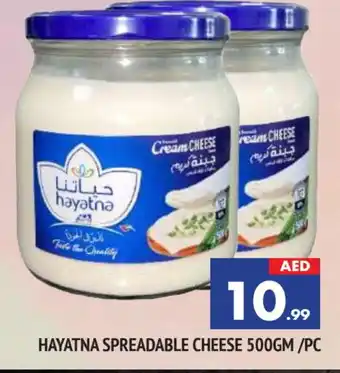 Al Madina HAYATNA Cream Cheese offer