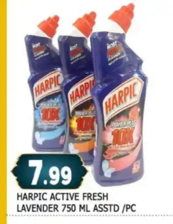 Al Madina HARPIC Toilet / Drain Cleaner offer