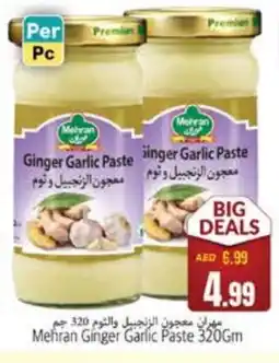 Pasons MEHRAN Garlic Paste offer